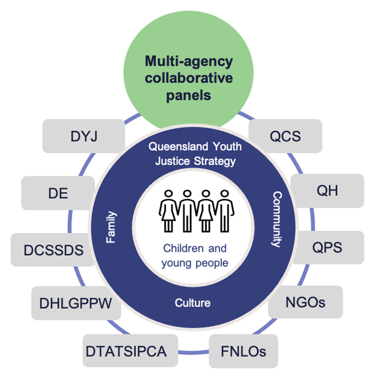 Multi-agency collaborative panels