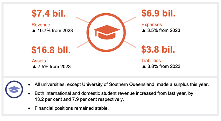 Infographic showing statistics for revenue, expenses, assets, and liabilities, and a summary on surpluses, revenue, and financial positions