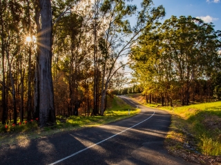 Winding road in Queensland sunshine