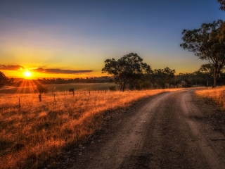 Image of a rural road and field with the sun setting in the background
