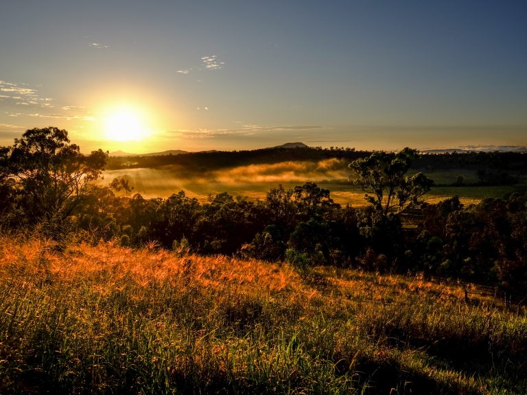 Misty fog sunrise